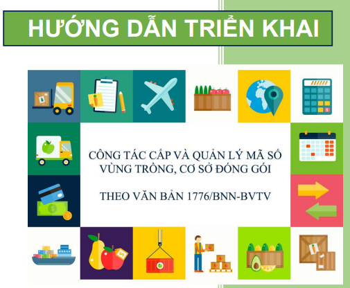 Hướng dẫn công tác cấp và quản lý mã số vùng trồng, cơ sở đóng gói theo văn bản 1776/BNN-BVTV