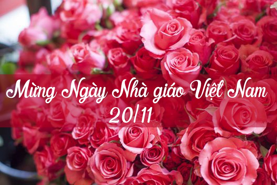 Kỷ niệm 39 năm Ngày Nhà giáo Việt Nam (20/11/1982 - 20/11/2021): Nghĩ về người Thầy thời hiện đại