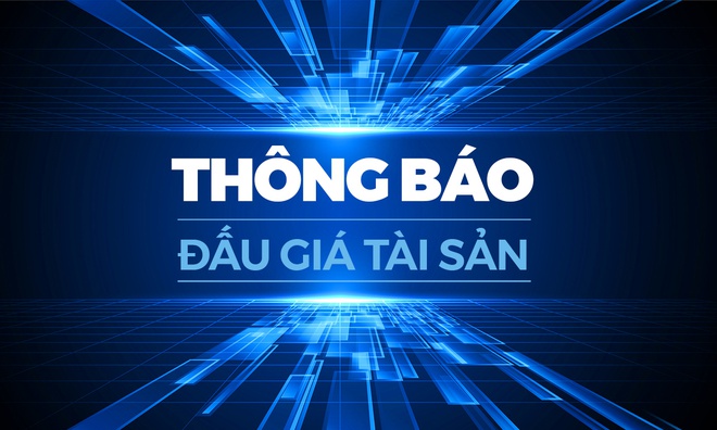 Thông báo về việc lựa chọn tổ chức đấu giá tài sản để tổ chức đấu giá quyền sử dụng đất đối với 261 thửa đất tại Điểm dân cư thôn Lộc Tân, xã Phú Lộc, huyện Krông Năng, Đắk Lắk