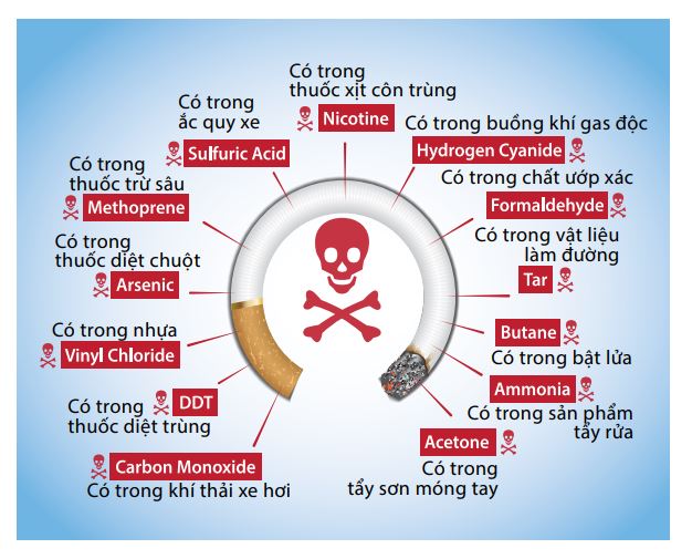how-smoking-and-nicotine-damage-your-body-5